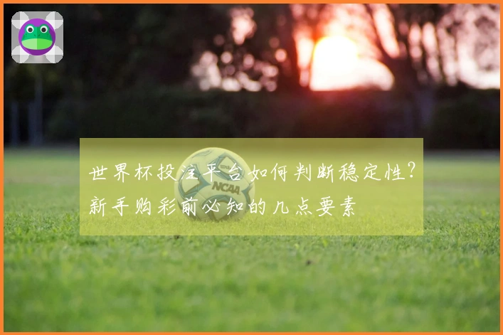 世界杯投注平台如何判断稳定性？新手购彩前必知的几点要素