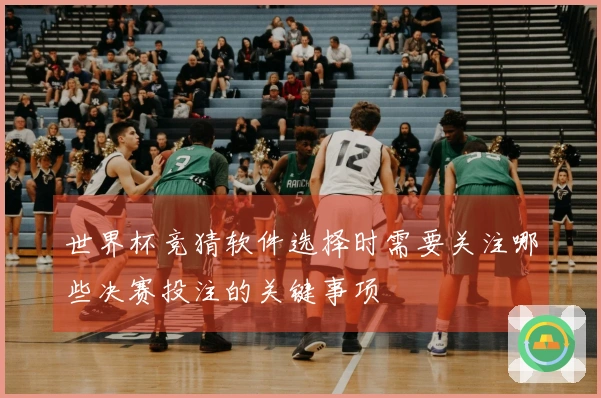 世界杯竞猜软件选择时需要关注哪些决赛投注的关键事项