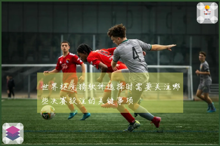 世界杯竞猜软件选择时需要关注哪些决赛投注的关键事项